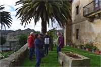 &nbsp;(Lehio Berrian)